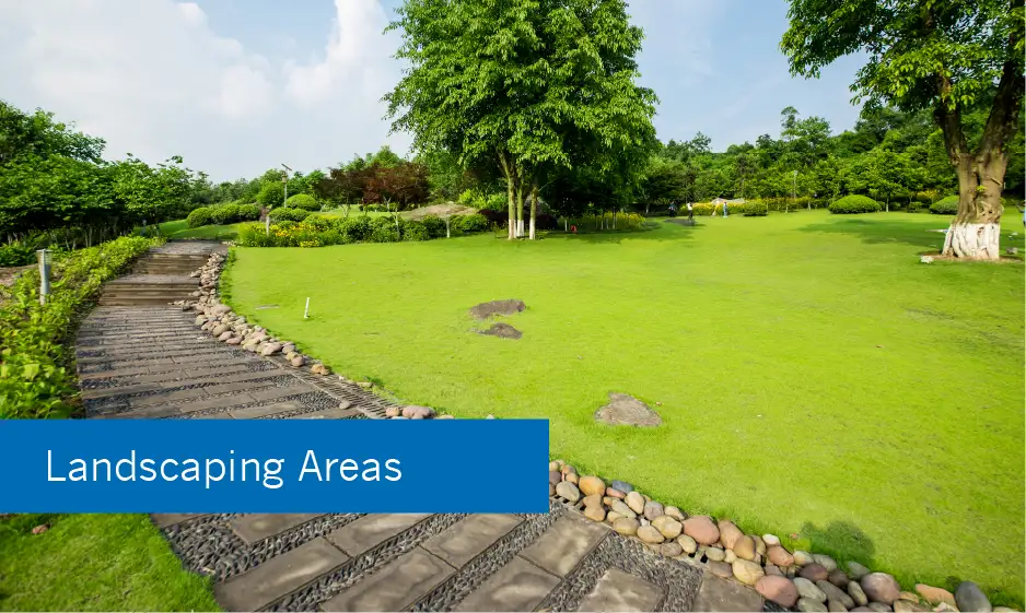 Landscaping Areas